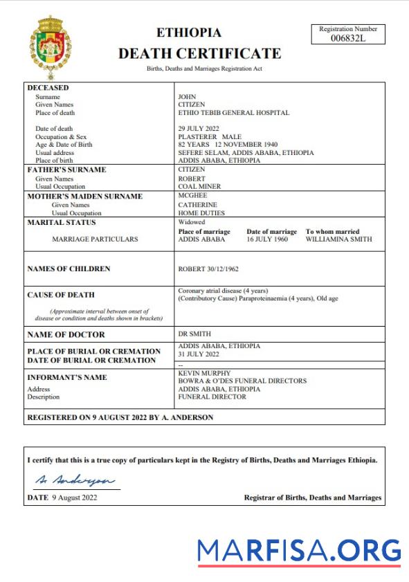 Downloadable Ethiopia vital record death certificate Word and PDF template